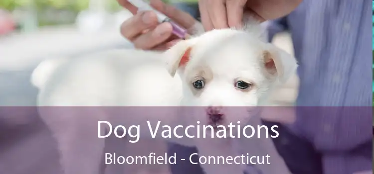 Dog Vaccinations Bloomfield - Connecticut