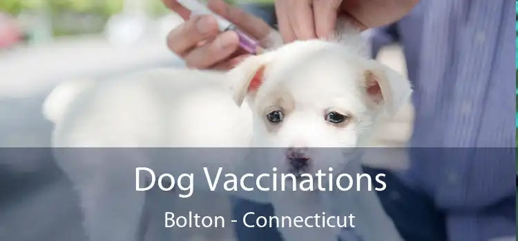 Dog Vaccinations Bolton - Connecticut