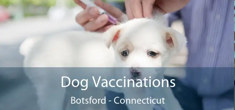 Dog Vaccinations Botsford - Connecticut