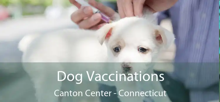 Dog Vaccinations Canton Center - Connecticut