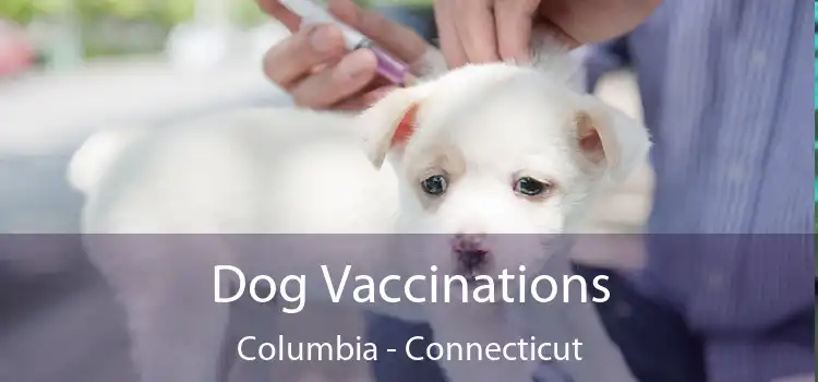 Dog Vaccinations Columbia - Connecticut