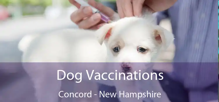 Dog Vaccinations Concord - New Hampshire