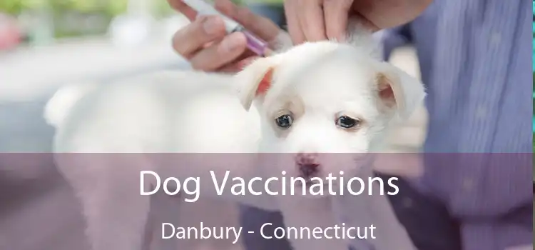 Dog Vaccinations Danbury - Connecticut