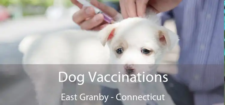 Dog Vaccinations East Granby - Connecticut