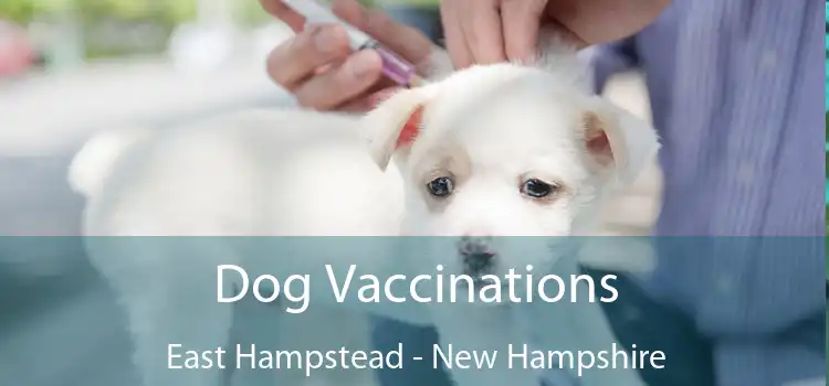 Dog Vaccinations East Hampstead - New Hampshire