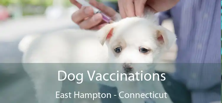 Dog Vaccinations East Hampton - Connecticut