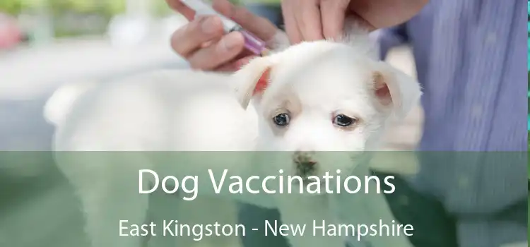 Dog Vaccinations East Kingston - New Hampshire