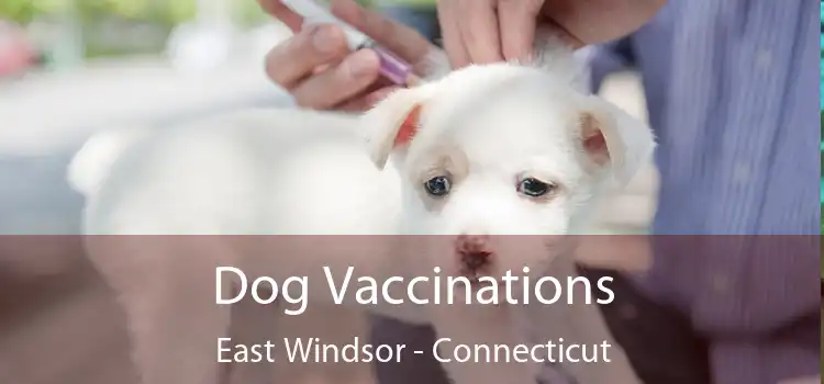 Dog Vaccinations East Windsor - Connecticut