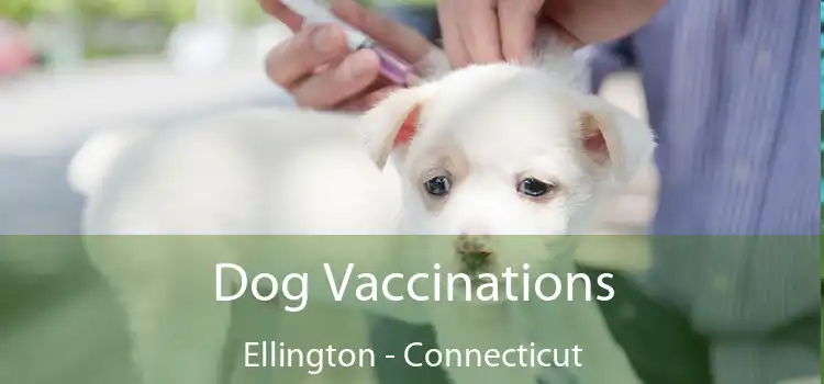 Dog Vaccinations Ellington - Connecticut