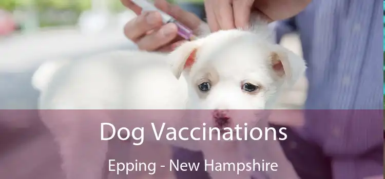 Dog Vaccinations Epping - New Hampshire