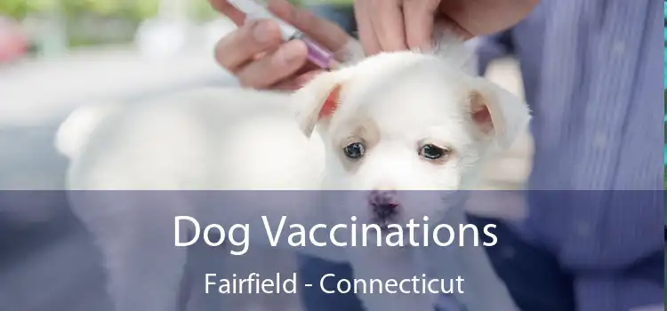 Dog Vaccinations Fairfield - Connecticut