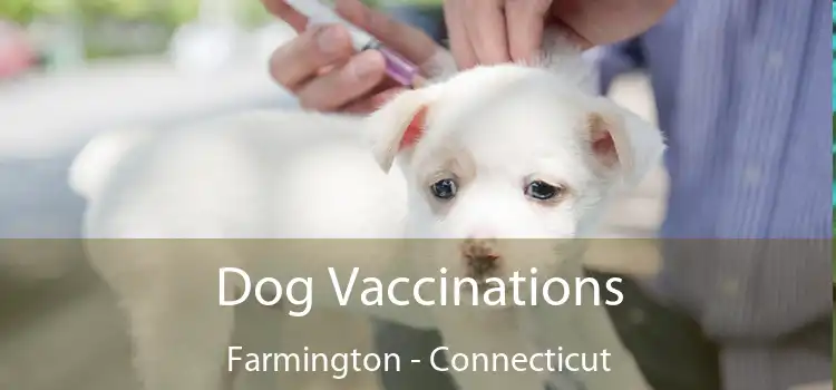 Dog Vaccinations Farmington - Connecticut