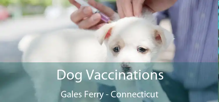 Dog Vaccinations Gales Ferry - Connecticut