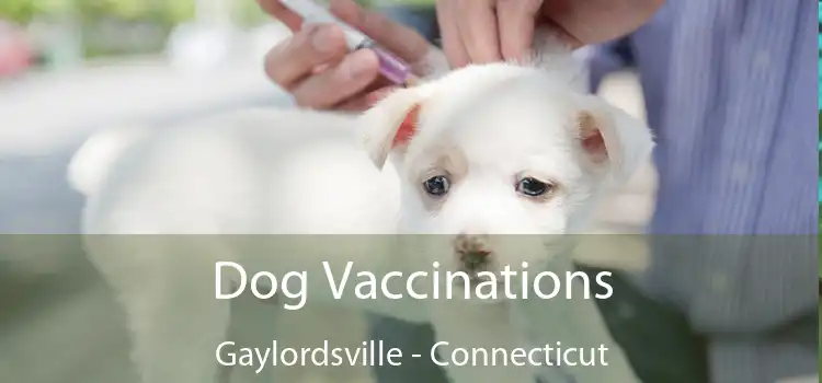 Dog Vaccinations Gaylordsville - Connecticut