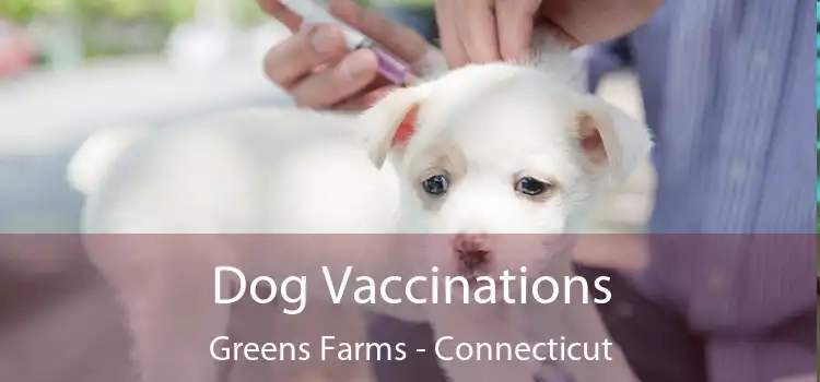 Dog Vaccinations Greens Farms - Connecticut