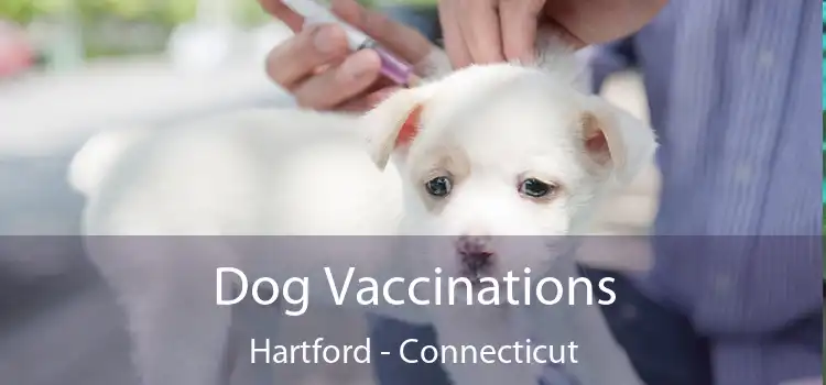 Dog Vaccinations Hartford - Connecticut