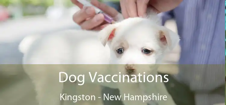 Dog Vaccinations Kingston - New Hampshire