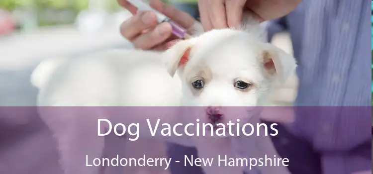 Dog Vaccinations Londonderry - New Hampshire