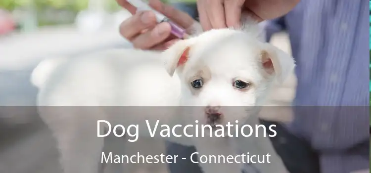 Dog Vaccinations Manchester - Connecticut