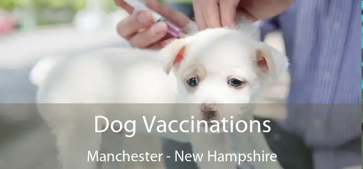 Dog Vaccinations Manchester - New Hampshire