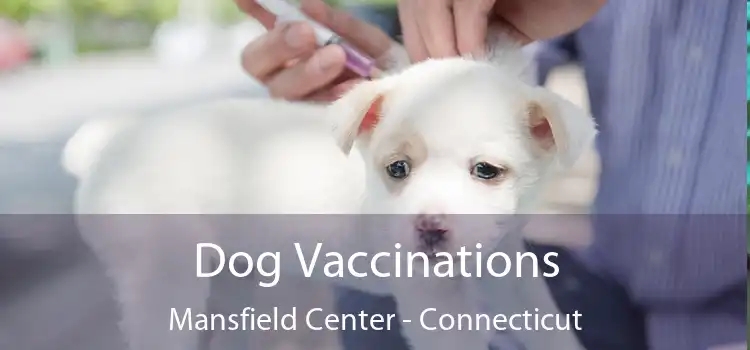 Dog Vaccinations Mansfield Center - Connecticut