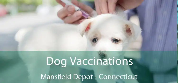 Dog Vaccinations Mansfield Depot - Connecticut