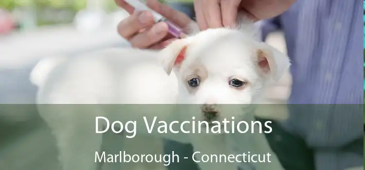 Dog Vaccinations Marlborough - Connecticut