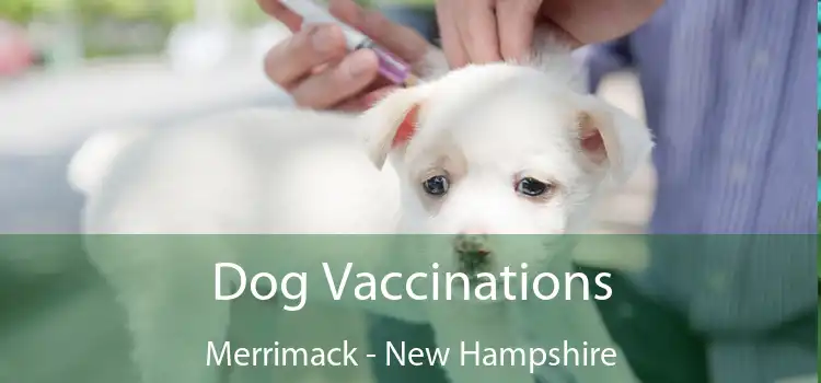 Dog Vaccinations Merrimack - New Hampshire