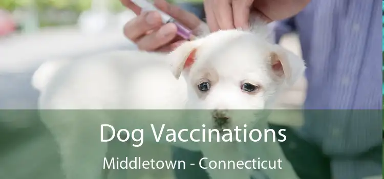 Dog Vaccinations Middletown - Connecticut