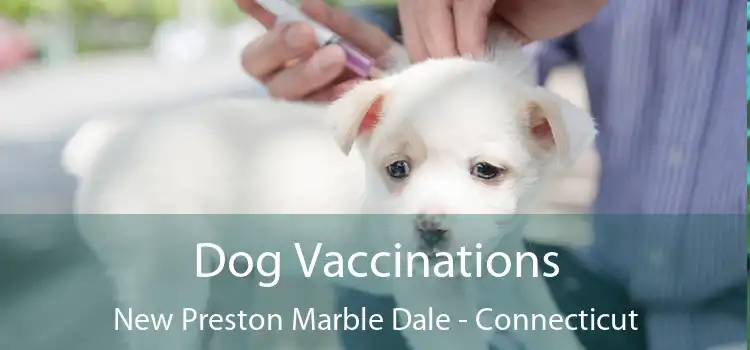 Dog Vaccinations New Preston Marble Dale - Connecticut