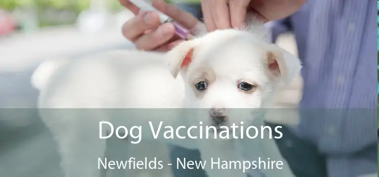 Dog Vaccinations Newfields - New Hampshire