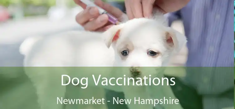 Dog Vaccinations Newmarket - New Hampshire