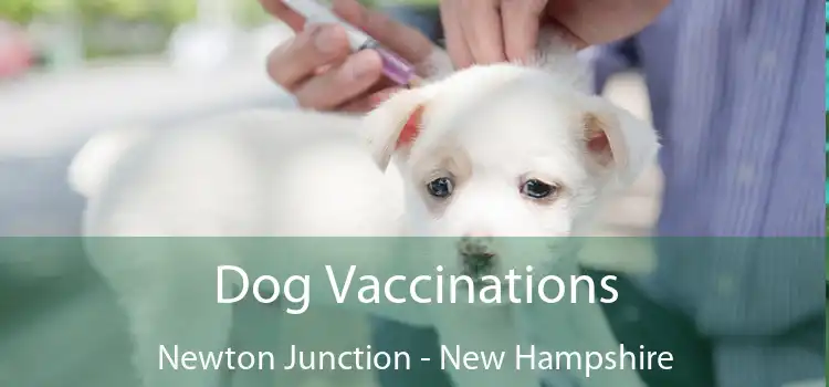 Dog Vaccinations Newton Junction - New Hampshire