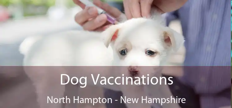 Dog Vaccinations North Hampton - New Hampshire