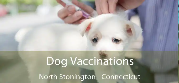 Dog Vaccinations North Stonington - Connecticut