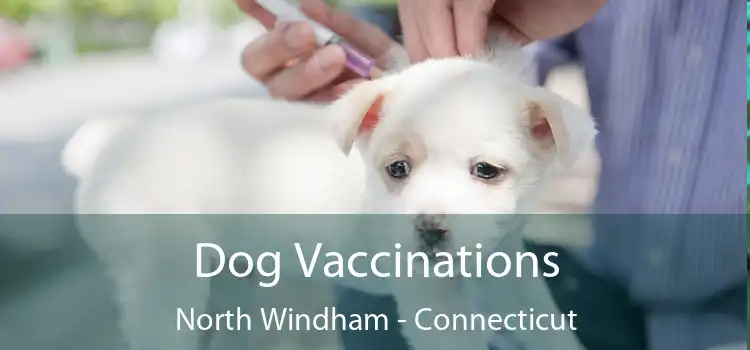 Dog Vaccinations North Windham - Connecticut