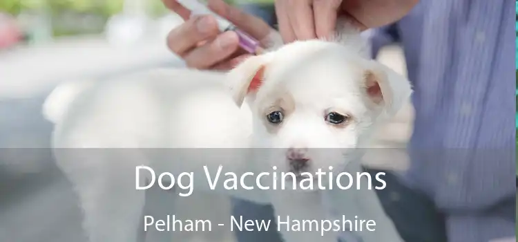 Dog Vaccinations Pelham - New Hampshire