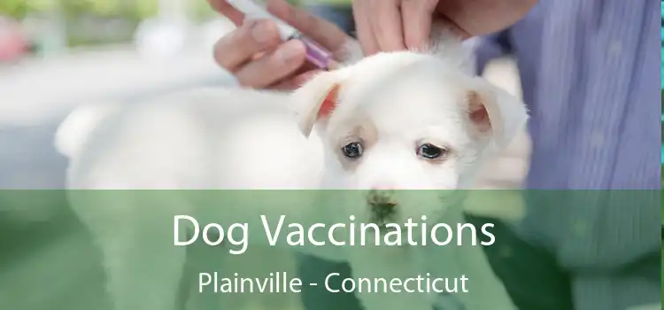 Dog Vaccinations Plainville - Connecticut