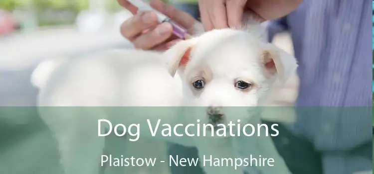 Dog Vaccinations Plaistow - New Hampshire