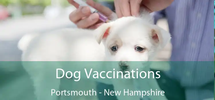 Dog Vaccinations Portsmouth - New Hampshire