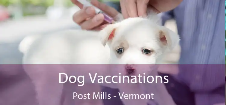 Dog Vaccinations Post Mills - Vermont