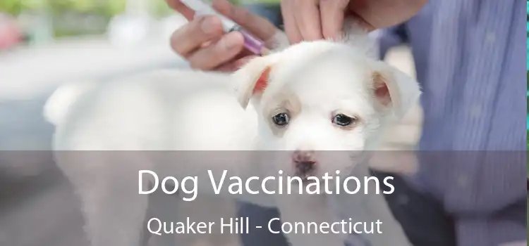 Dog Vaccinations Quaker Hill - Connecticut