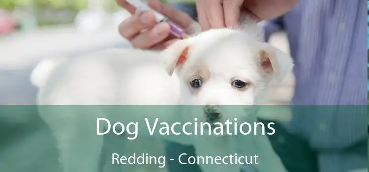 Dog Vaccinations Redding - Connecticut