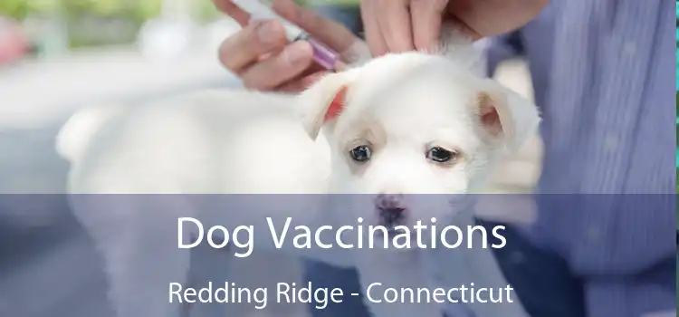 Dog Vaccinations Redding Ridge - Connecticut