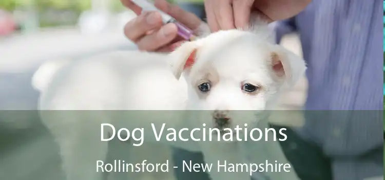 Dog Vaccinations Rollinsford - New Hampshire