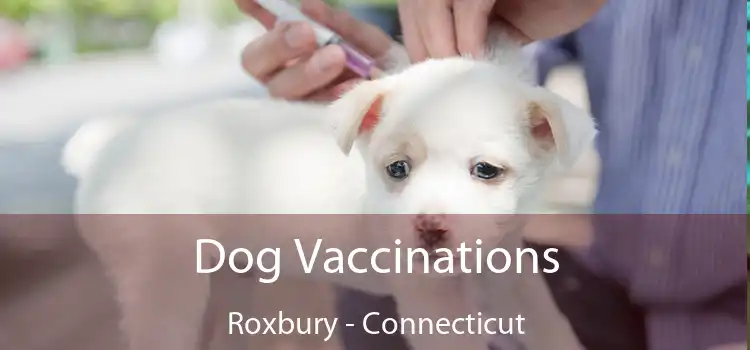 Dog Vaccinations Roxbury - Connecticut