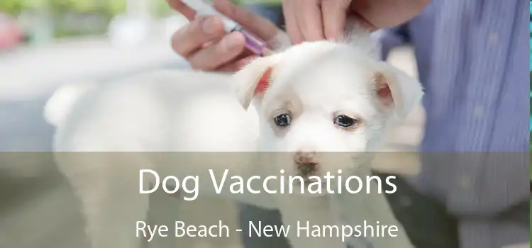 Dog Vaccinations Rye Beach - New Hampshire