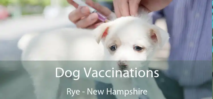 Dog Vaccinations Rye - New Hampshire