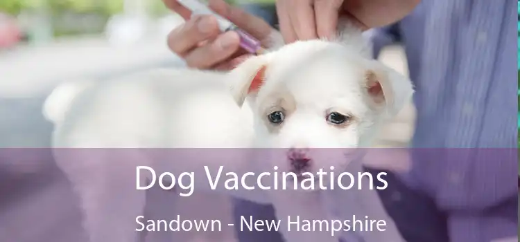 Dog Vaccinations Sandown - New Hampshire