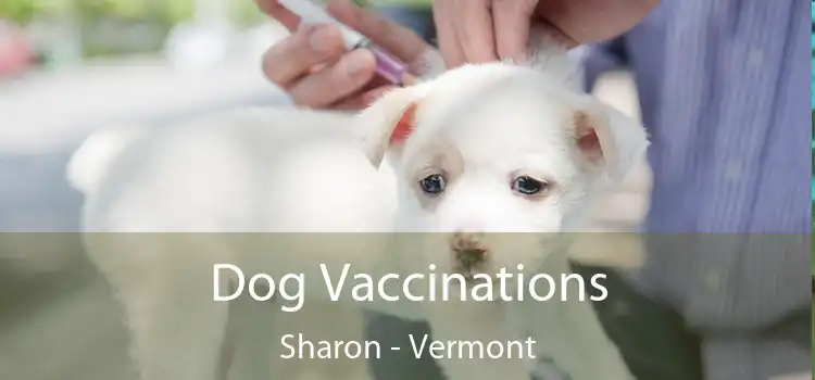 Dog Vaccinations Sharon - Vermont